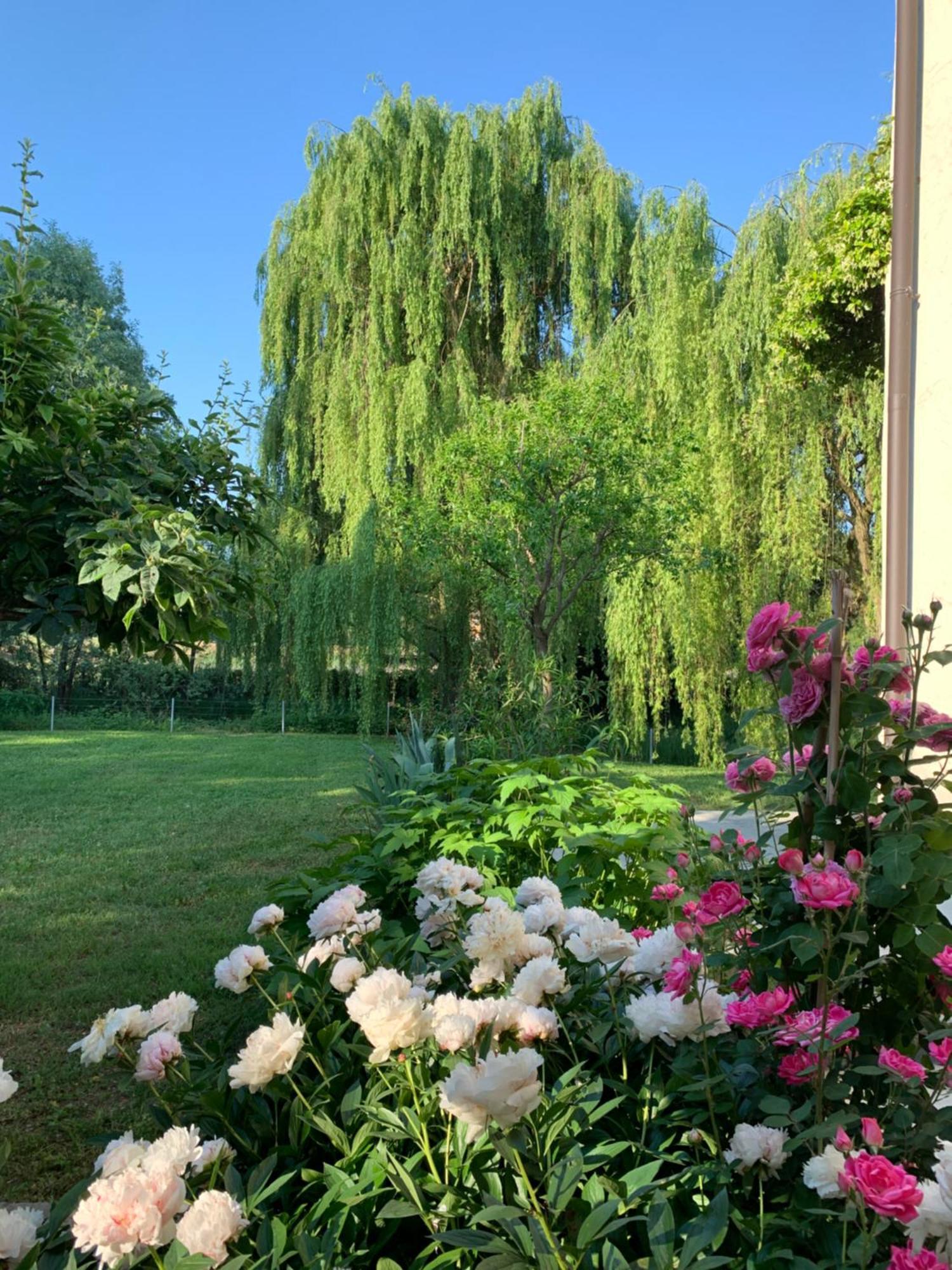 L'Isolo B&B E Case Vacanza Monzambano Bagian luar foto